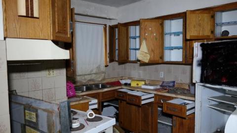 Bushwack '20 - DSC09049wAi.jpg