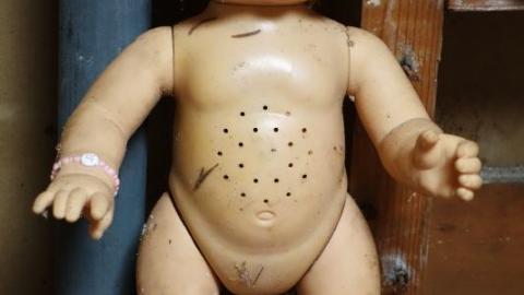 Bushwack '20 - DSC090567a5.jpg