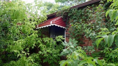 Bushwack '20 - DSC09064ZCE.jpg