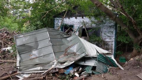 Bushwack '20 - DSC09094P4b.jpg