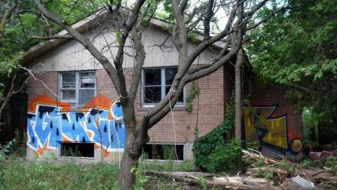 Bushwack '20 - DSC09095FbG.jpg