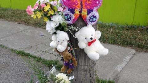 Bushwack '20 - DSC09103Cp7.jpg