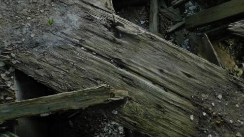 Photo from June 22nd 2020