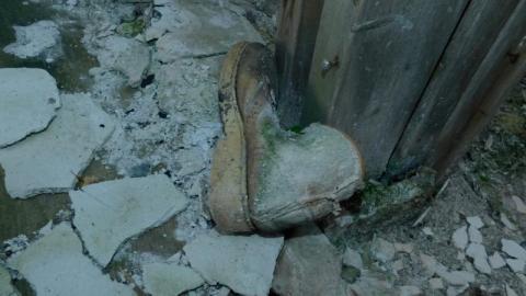 June 22nd 2020 - bootwS8.jpg