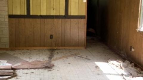 Photo from Summer 2020