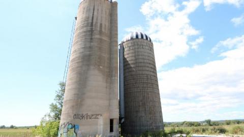 August 2020 - 806F7000-296A-47B9-AEE9-BE9AFCF8ECB0cFO.jpg