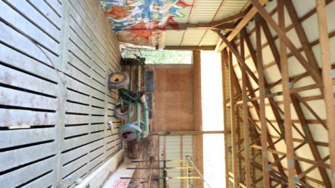 August 2020 - 1FFBF584-593C-4378-80F8-88A86480A371EvA.jpg