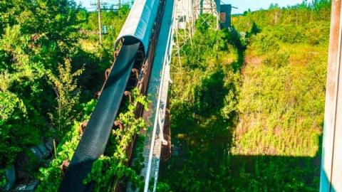 Photo from August 2020