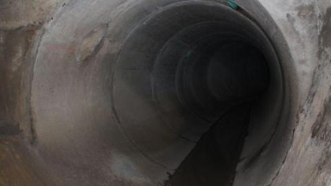 What is 2nd I Dont know is 3rd - IMG_30398Na.jpg