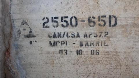 What is 2nd I Dont know is 3rd - IMG_3043kuk.jpg