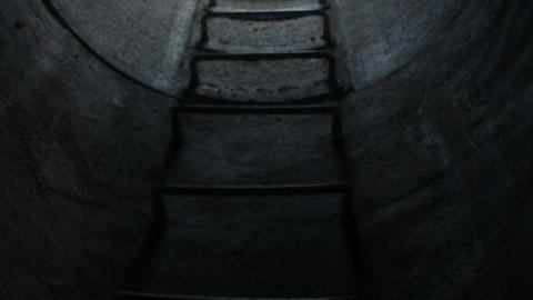 What is 2nd I Dont know is 3rd - IMG_3044lWC.jpg