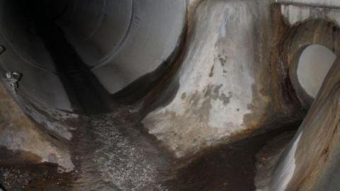 What is 2nd I Dont know is 3rd - IMG_3050JPw.jpg