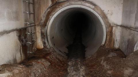 What is 2nd I Dont know is 3rd - IMG_3062YJz.jpg