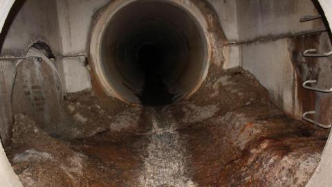 What is 2nd I Dont know is 3rd - IMG_3065nfX.jpg