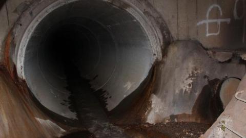 What is 2nd I Dont know is 3rd - IMG_3070ypM.jpg