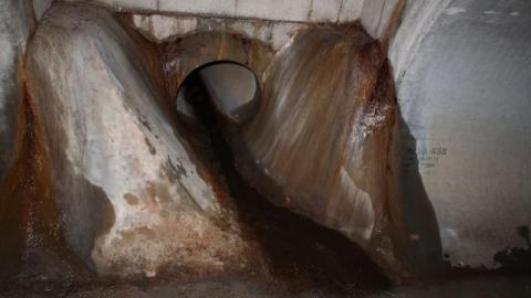 What is 2nd I Dont know is 3rd - IMG_307174p.jpg