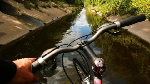 What is 2nd I Dont know is 3rd - IMG_3101qcy.jpg