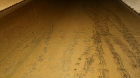 Photo from What is 2nd I Dont know is 3rd