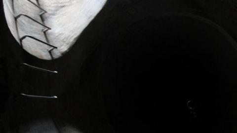 What is 2nd I Dont know is 3rd - IMG_3110Su3.jpg