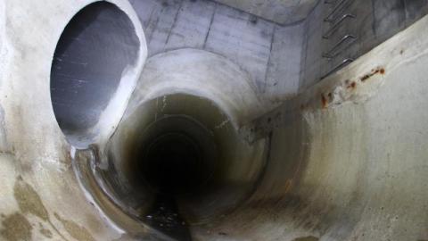 What is 2nd I Dont know is 3rd - IMG_3118kmf.jpg