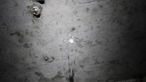 What is 2nd I Dont know is 3rd - IMG_31654ov.jpg