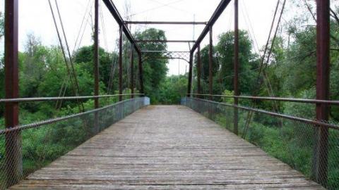 Seeking Cover Still (Always) - IMG_2974OJa.jpg