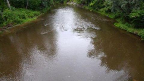 Seeking Cover Still (Always) - IMG_2975kBY.jpg