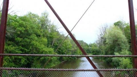 Seeking Cover Still (Always) - IMG_2976jFx.jpg