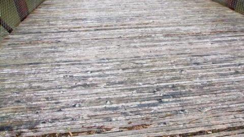 Seeking Cover Still (Always) - IMG_29784b5.jpg