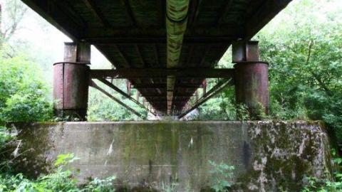 Seeking Cover Still (Always) - IMG_298056a.jpg