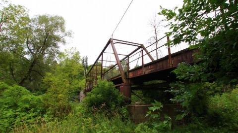 Seeking Cover Still (Always) - IMG_2984XFv.jpg