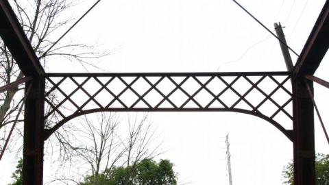 Seeking Cover Still (Always) - IMG_2985HP6.jpg