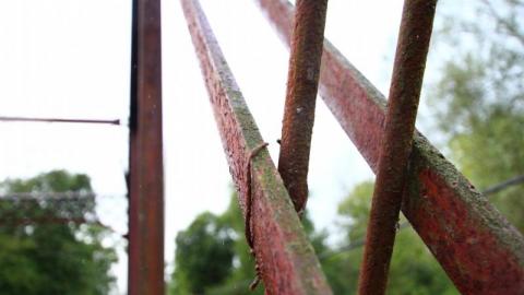 Seeking Cover Still (Always) - IMG_2989viz.jpg