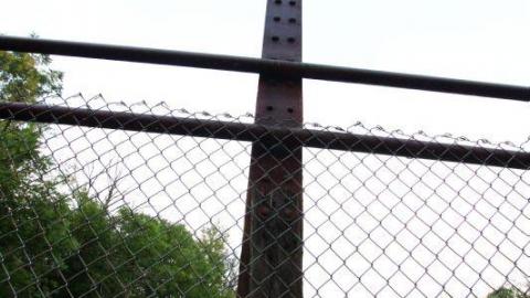 Seeking Cover Still (Always) - IMG_2991dl7.jpg