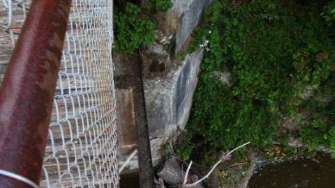 Seeking Cover Still (Always) - IMG_2992ib1.jpg