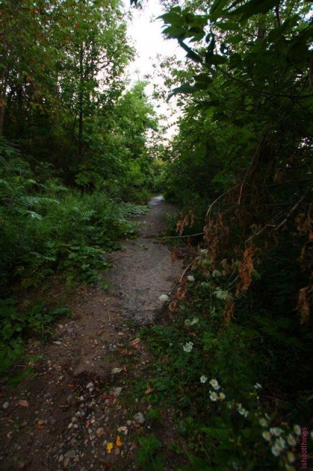 Nithvale Bridge (Nith Rd Bridge) photo 4