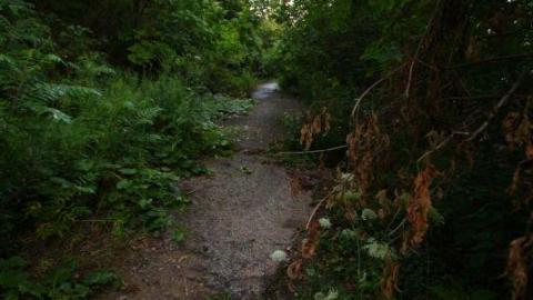 Nithvale Bridge (Nith Rd Bridge) photo 4