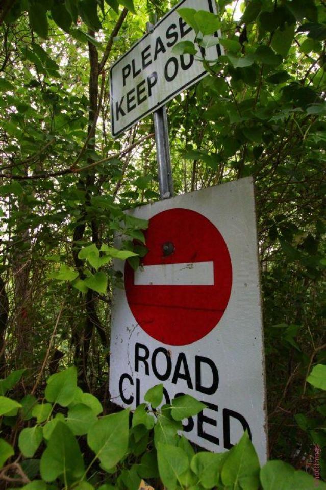 Nithvale Bridge (Nith Rd Bridge) photo 5