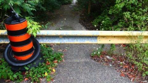 Seeking Cover Still (Always) - IMG_3004HOn.jpg