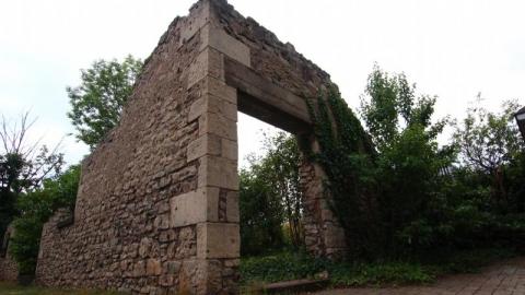 Still The Same...Cant Get Enuf - IMG_2702cB8.jpg