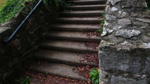 Still The Same...Cant Get Enuf - IMG_27045wc.jpg