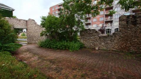 Still The Same...Cant Get Enuf - IMG_2705TAT.jpg