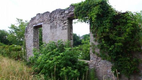 Still The Same...Cant Get Enuf - IMG_2706sqG.jpg