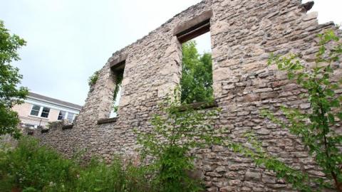 Still The Same...Cant Get Enuf - IMG_2714LQ0.jpg