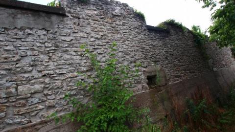 Still The Same...Cant Get Enuf - IMG_27155cC.jpg