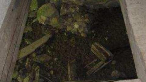 Gallery - IMG_2000.jpg