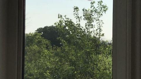 August 2019 - IMG_15416pG.jpg