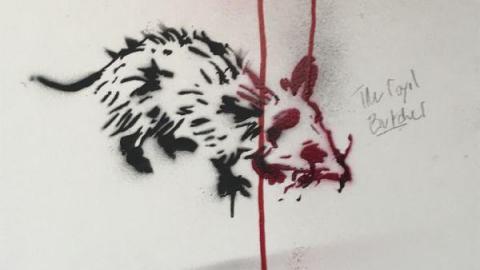 Photo from August 2019