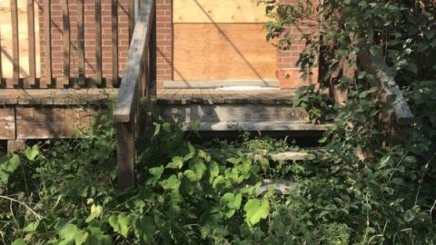 Photo from August 2019