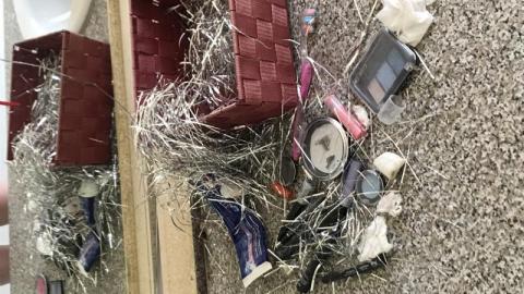 Photo from August 2019